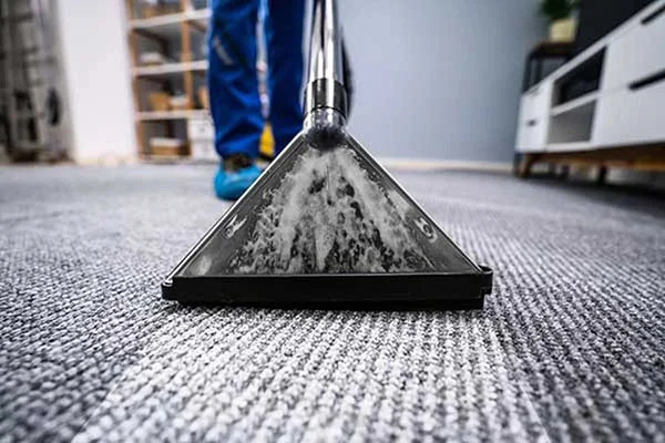 How Long Does Carpet Cleaning Take Lakewood, CA
