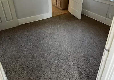 Affordable Stain Removal