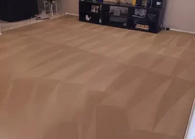 Quality Stain Removal