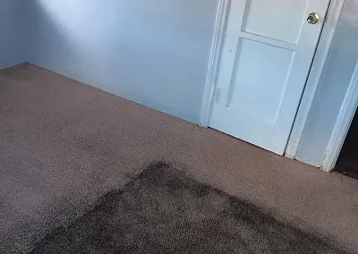 Reliable Flooring Services